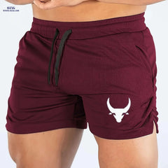 Men's Athletic Performance Gym Shorts - Breathable, Slim Fit, Maroon